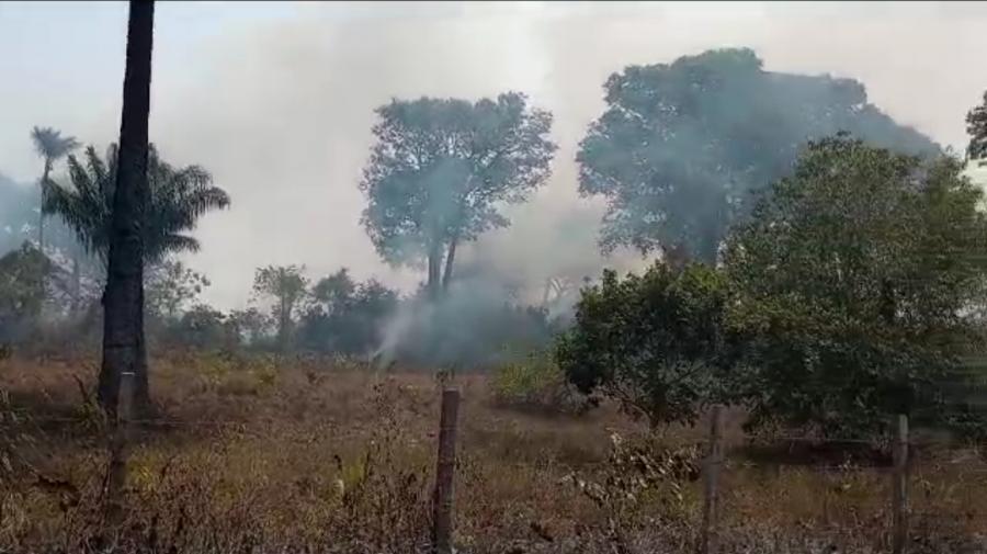 VÍDEO: Área de Castanheiras é incendiada, em Parintins 