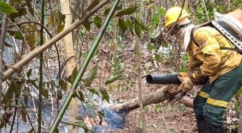 Brigadistas do IBAMA reforçam combate a incêndios em Parintins/Amazonas