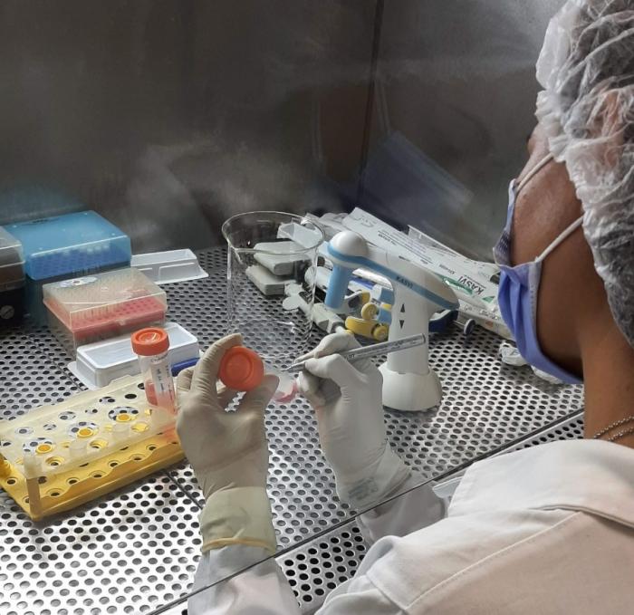 Estudo analisa bioativos naturais como alternativa mais eficaz e menos invasiva no tratamento do câncer