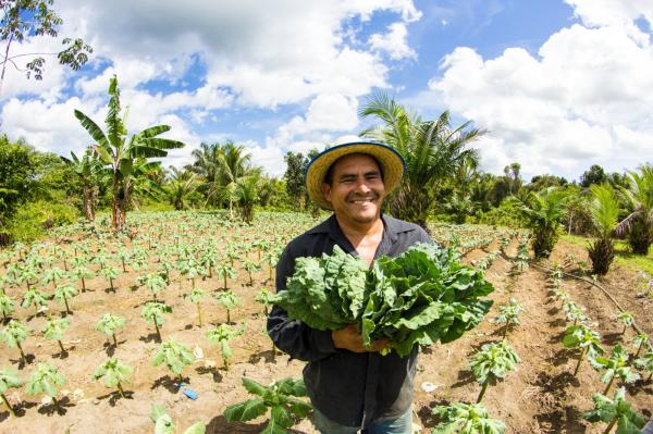 Governo do Amazonas investiu R$ 78 milhões na aquisição de alimentos da agricultura familiar em 2023
