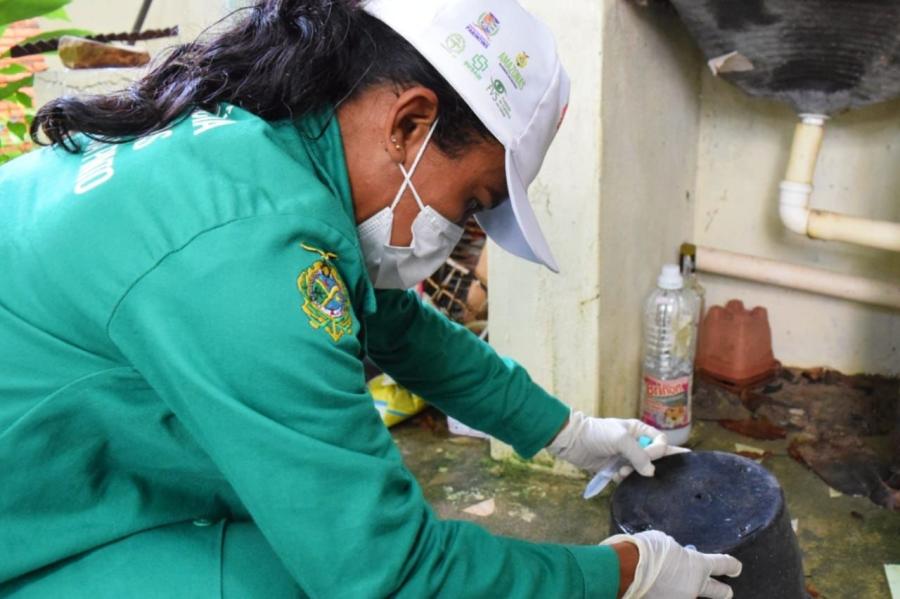 FEBRE OROPOUCHE: Parintins registra doença causada por maruim 