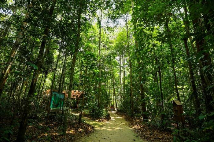 Em 2023, Governo do Amazonas captou mais de R$ 76 milhões para investir na gestão ambiental