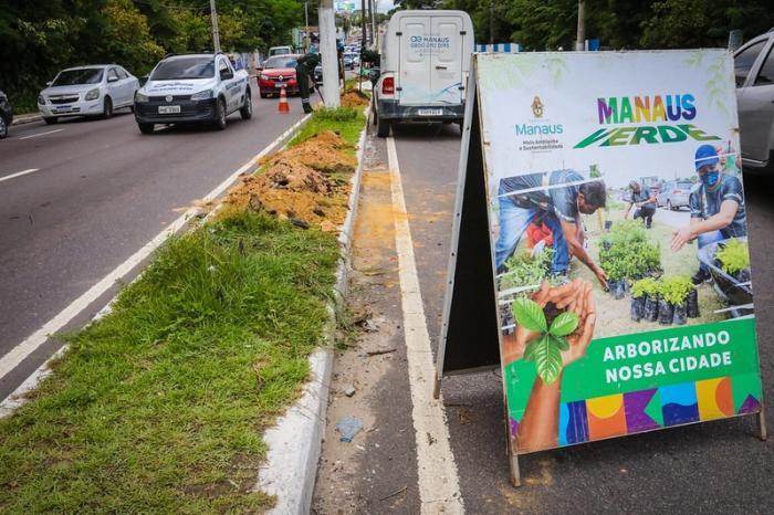 Prefeitura de Manaus dá início ao plantio de 100 mudas em trecho da avenida Mário Ypiranga Monteiro