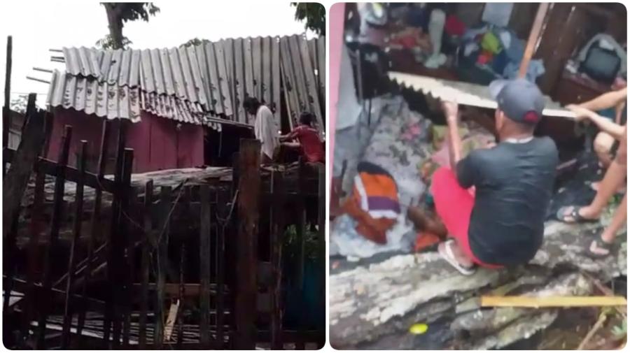 VÍDEO: Castanheira cai sobre casa em ocupação e deixa três feridos