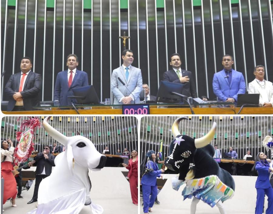 Garantido e Caprichoso são homenageados por Saullo Vianna na Câmara dos Deputados