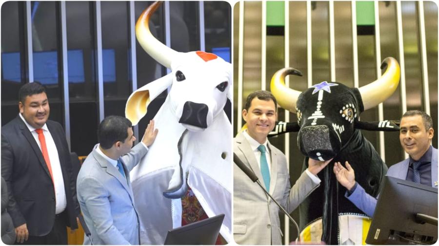 Alex Garcia se emociona durante homenagem ao Festival de Parintins na Câmara Federal 