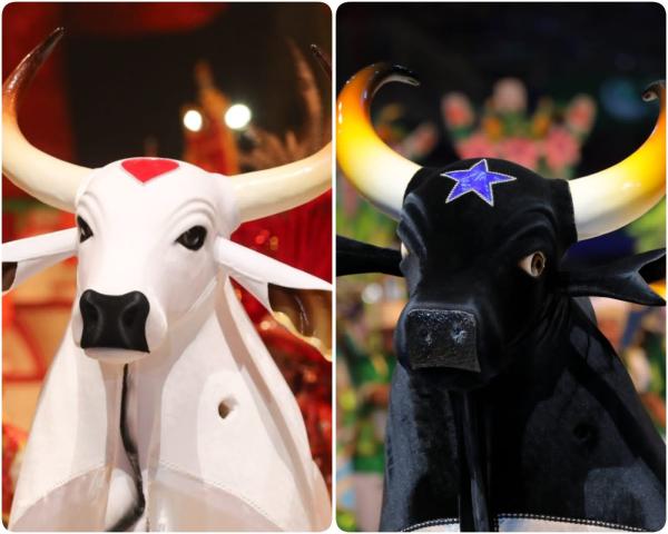 FESTIVAL DE PARINTINS: DPE-AM atua para evitar falta de dinheiro em espécie