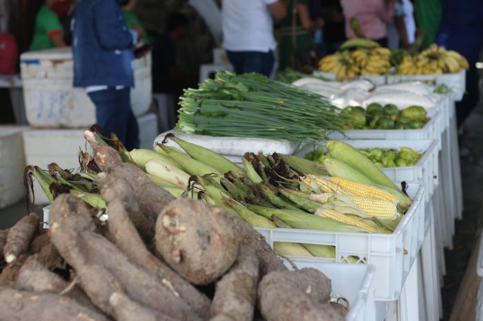 PAA 2024 começa pagamento de 54 agricultores com R$ 460 mil na economia de Parintins