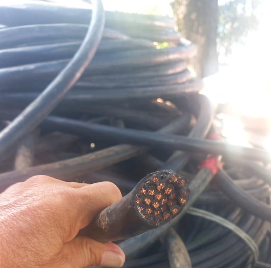Polícia prende suspeitos por roubo de cabos de energia do Parque Gigantes da Floresta