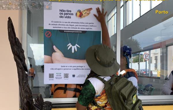 NÃO TIRE AS PENAS DA VIDA: Ibama inicia campanha em Parintins