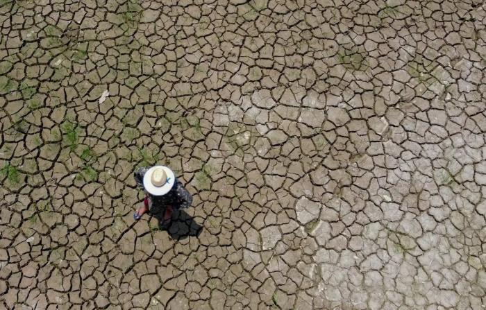 Mudanças climáticas já interferem em secas e cheias na Amazônia