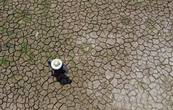 Mudanças climáticas já interferem em secas e cheias na Amazônia
