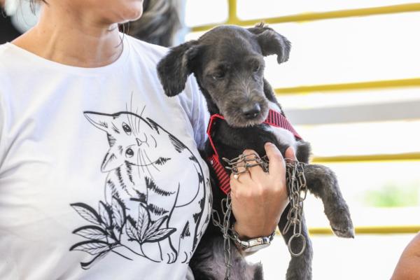 Polícia Civil do Amazonas alerta que maus-tratos contra animais podem resultar em prisão de 2 a 5 anos