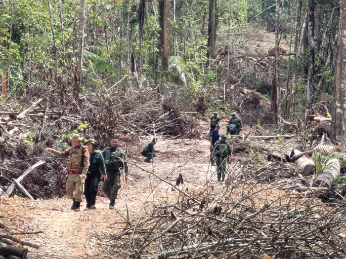 Operação Tamoiotatá multa crimes ambientais no sul do Amazonas em mais de R$ 54 milhões