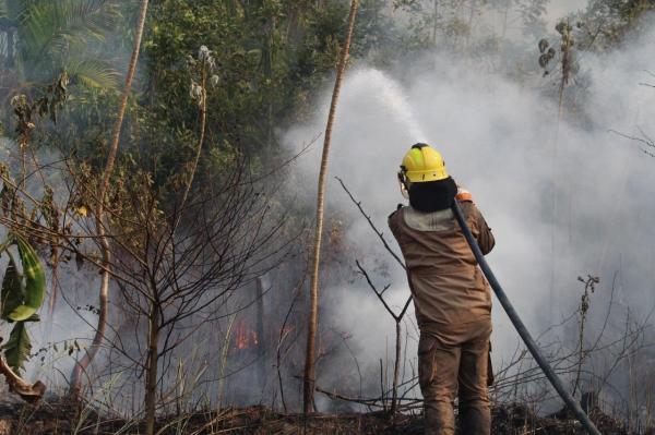 Em dois meses, Operação Aceiro 2024 combateu 4.276 focos de incêndios no interior