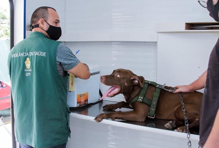 Prefeitura de Manaus abre agendamento para castração de cães e gatos nesta sexta-feira, 1º/11