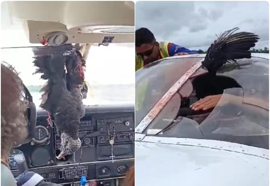 VÍDEO: Avião colide com urubu e por pouco não acontece uma tragédia em Eirunepé 