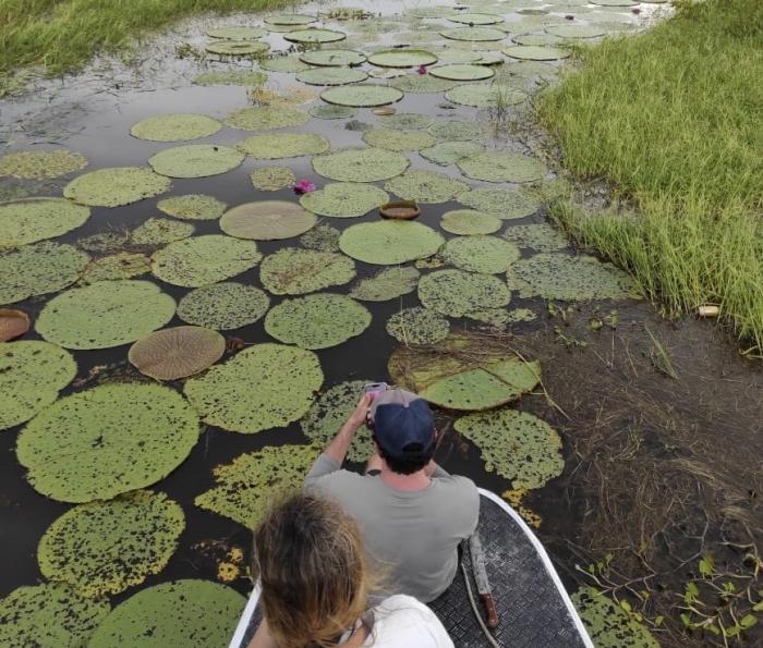Pesquisa apoiada pelo Governo do Amazonas identifica cerca de 200 espécies de algas no Rio Uiacurapá, em Parintins