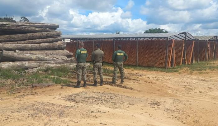 Ibama inicia Operação Maravalha 2025 para combater o desmatamento na Amazônia