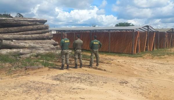 Ibama inicia Operação Maravalha 2025 para combater o desmatamento na Amazônia