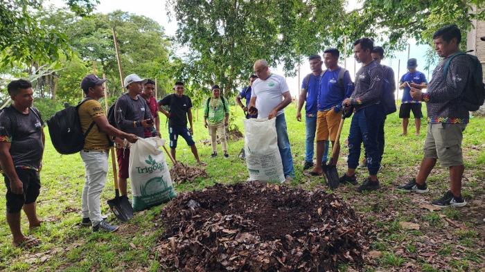Parintins promove capacitação em compostagem orgânica para indígenas Sateré-Mawé Parintins promove capacitação em compostagem orgânica para indígenas Sateré-Mawé