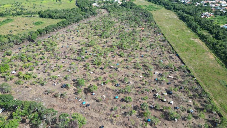 Justiça ordena reintegração de posse em áreas ocupadas de Parintins