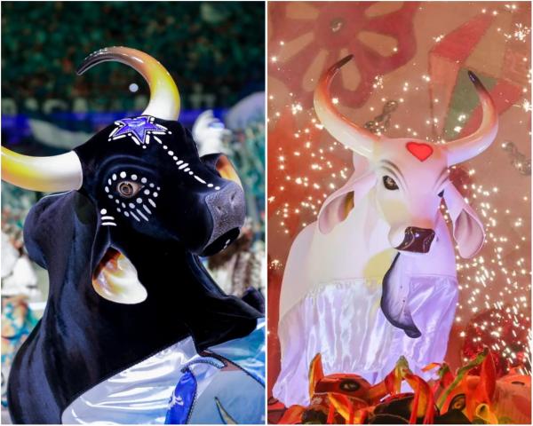 Assaí Atacadista marca presença pelo terceiro ano consecutivo no Festival de Parintins