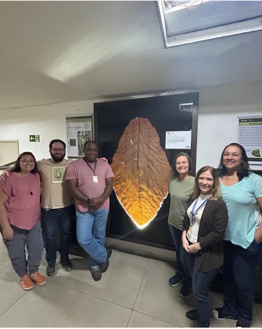 Botânico parintinense ganha homenagem com a folha Coccoloba no Museu do Amanhã e na UFRJ