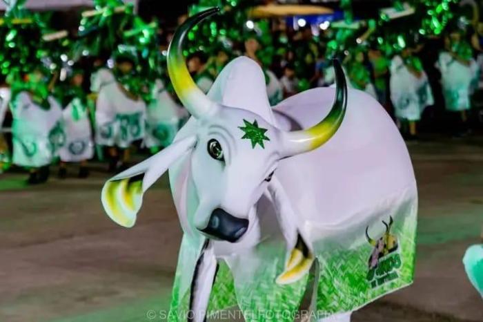 Em Parintins, revistas em quadrinhos resgatam história do Boi Estrelinha e celebram tradição infantil Em Parintins, revistas em quadrinhos resgatam história do Boi Estrelinha e celebram tradição infantil