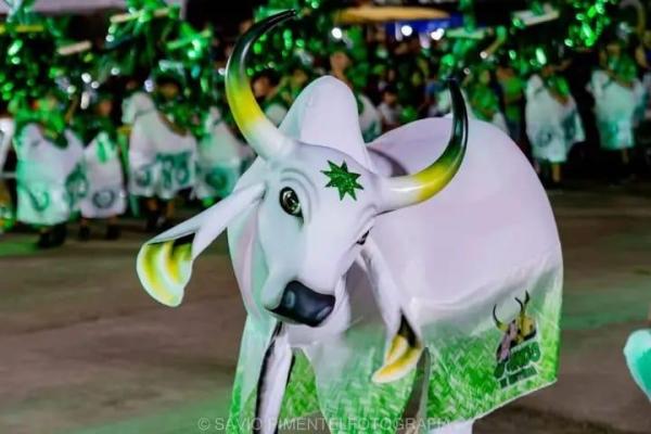 Em Parintins, revistas em quadrinhos resgatam história do Boi Estrelinha e celebram tradição infantil
