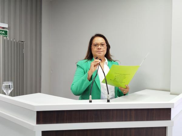 Márcia Baranda solicita operação tapa-buracos em Parintins