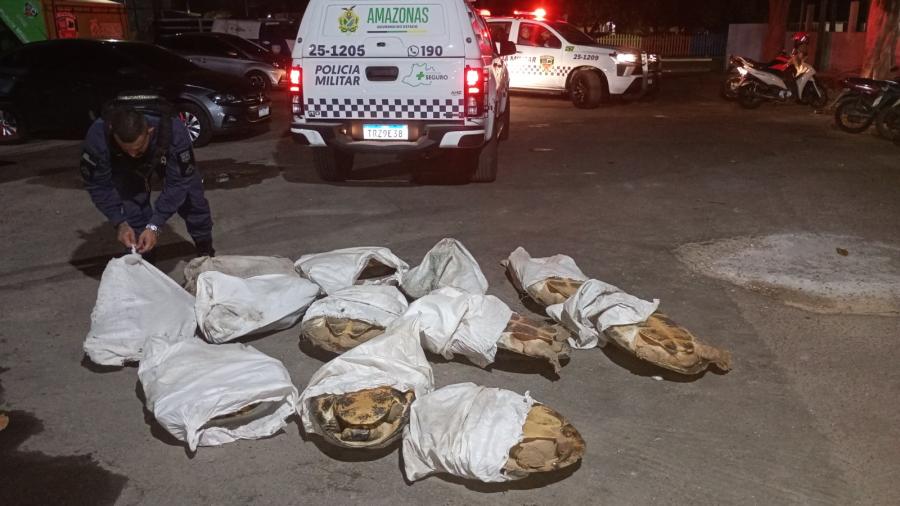 CRIME AMBIENTAL: Mais12 tartarugas da Amazônia são apreendidas em Parintins