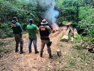 Caçadores são flagrados com veado abatido em Terra Indígena Caçadores são flagrados com veado abatido em Terra Indígena
