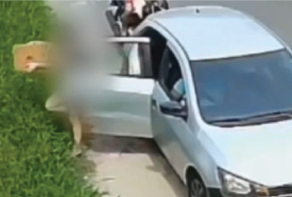 Polícia identifica mãe e filha que abandonaram caixa com filhotes de cachorro em matagal