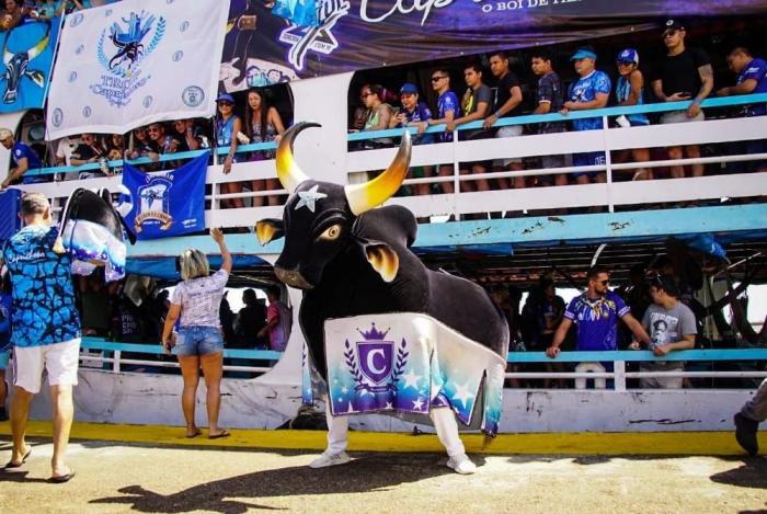 Marujada promove Caravana Azulada com novidades para o público