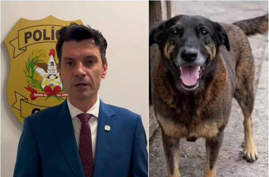 CASO ORELHA: Delegado-geral da Polícia Civil de SC anuncia processo contra amazonense