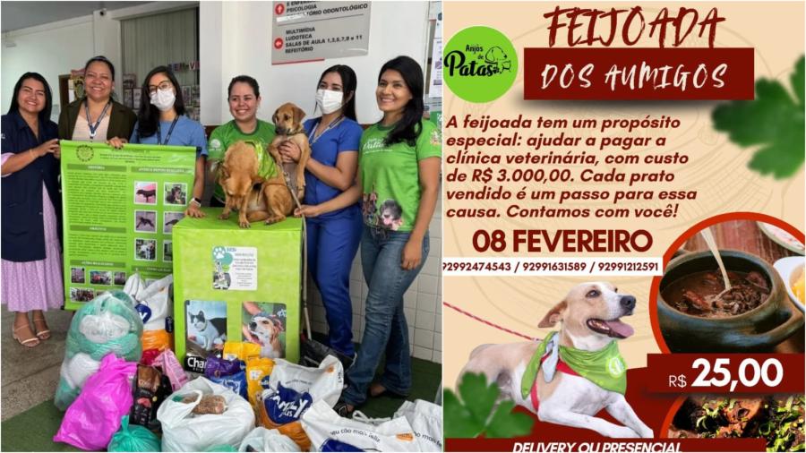 Grupo Anjos de Patas promove feijoada solidária para custear resgates em Parintins