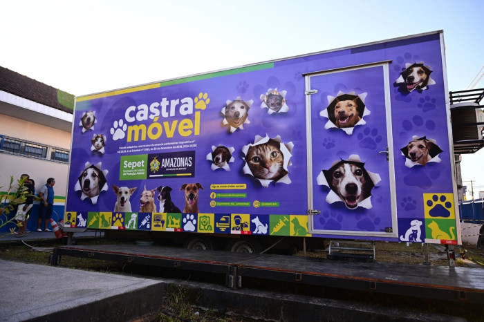 Mega Castração: ação quer esterilizar mais de 2 mil cães e gatos em 8 horas no Amazonas