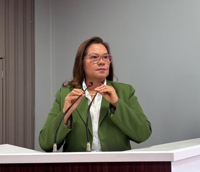 Márcia Baranda solicita psicóloga para atendimento a vítimas de violência em Parintins