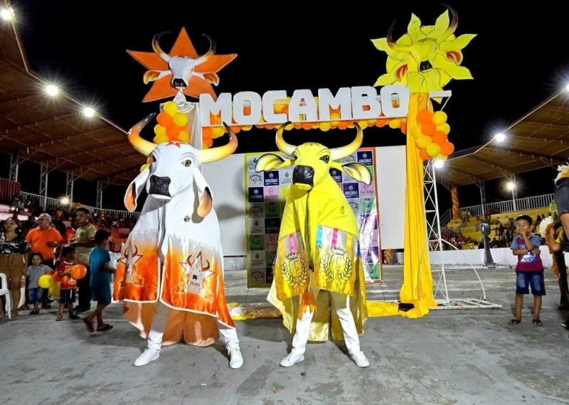 Festival do Mocambo do Arari celebra saberes da floresta com disputa dos bois Touro Branco e Espalha Emoção