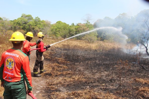Prefeitura de Parintins envia brigadistas e prepara servidores contra incêndios na Vila Amazônia