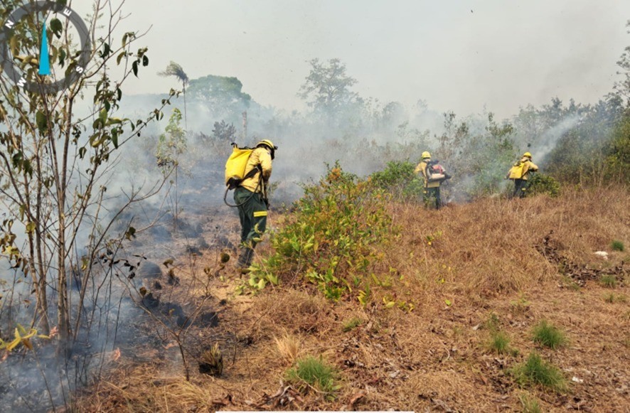 Governo Federal mobiliza Ibama e aeronaves no combate às queimadas no Amazonas