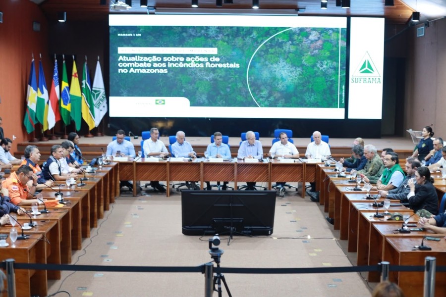 Governo do Amazonas intensifica ações contra queimadas após reunião com ministros