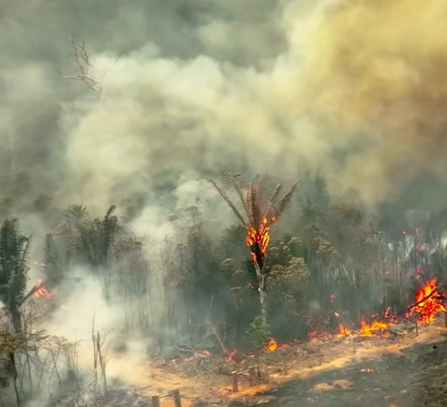 Autazes oferece recompensa por informações sobre incêndios criminosos
