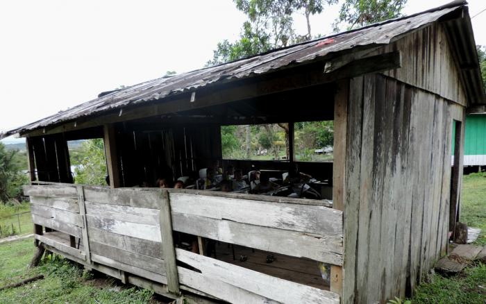 No Amazonas, 42% dos municípios têm 'ineficiência crítica' em gestão educacional, diz estudo