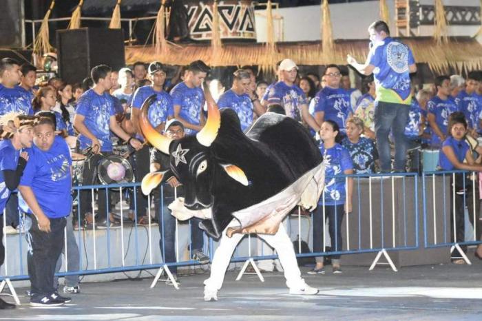 Boi Caprichoso cria grupo de teatro LGBT para o festival de Parintins 2019 