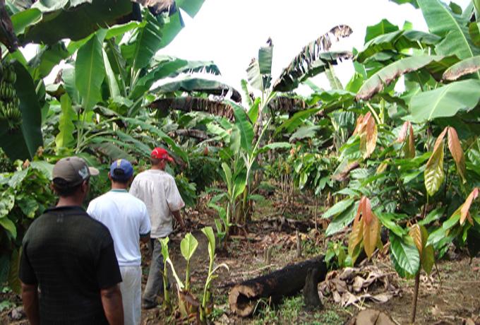 CONCURSO IDAM: Inscrições para 227 vagas até esta quarta-feira, 30 de janeiro