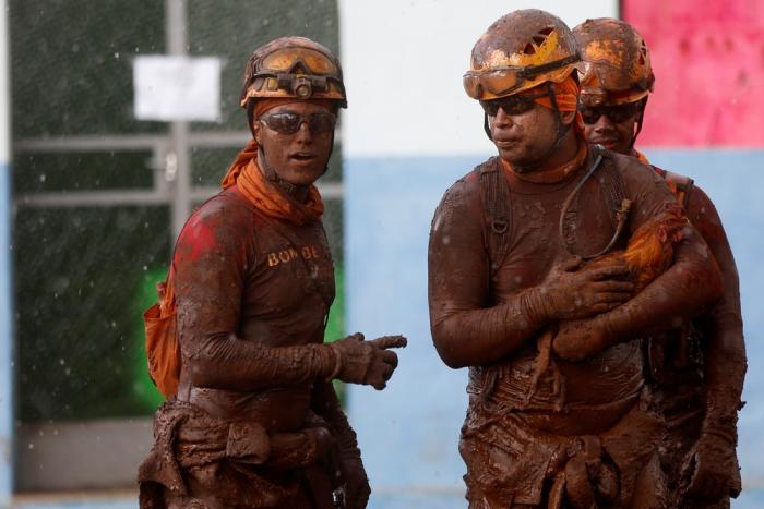 Bombeiros dizem que 45 animais foram resgatados nesta quarta em Brumadinho