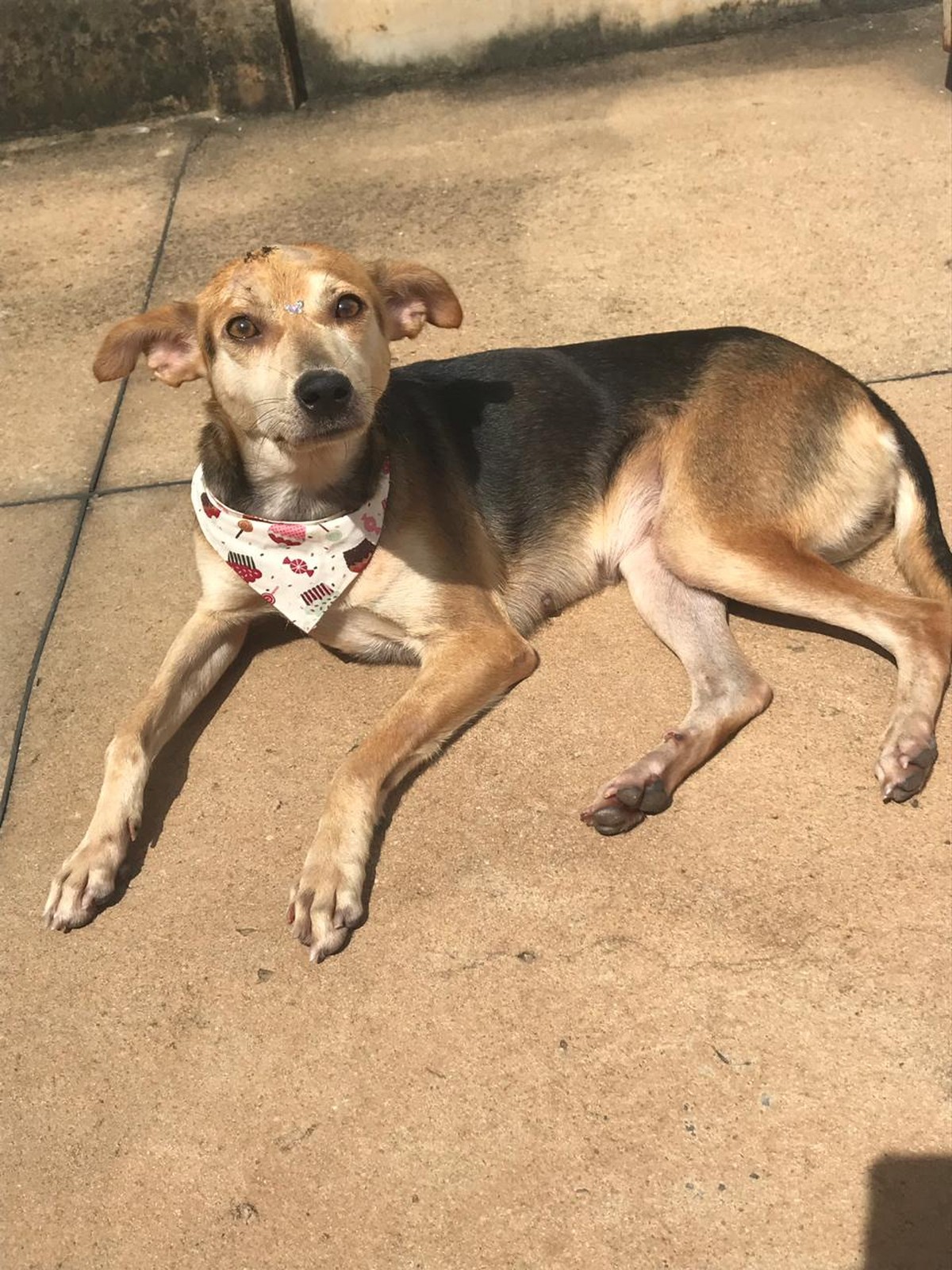 whatsapp-image-2018-12-13-at-13.47.05