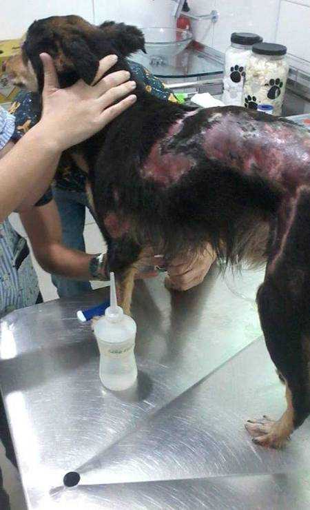 xWhatsApp-Image-2018-12-18-at-15.14.28.jpeg.jpg.pagespeed.ic.gatQ7BoSiY